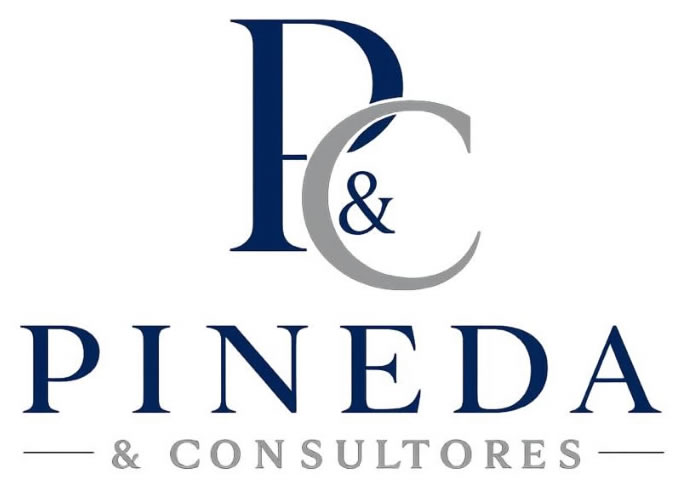 pinedayconsultores.com